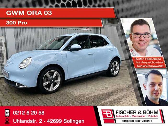 Great Wall Motor Ora 03 300 PRO